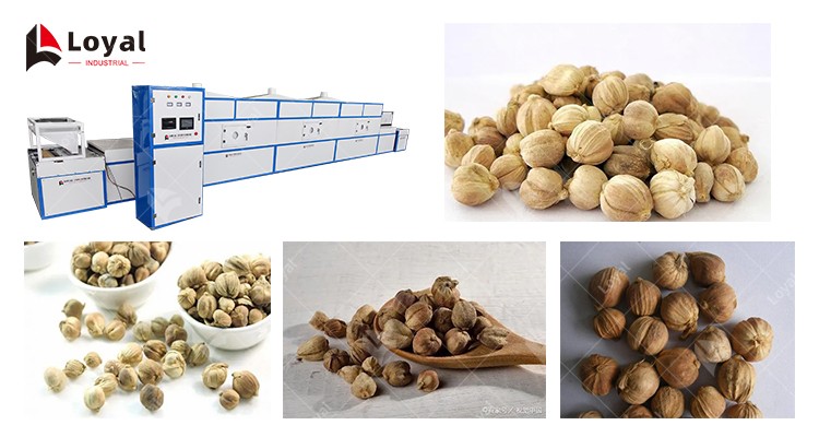Cardamom Microwave Tunnel Drying Machine