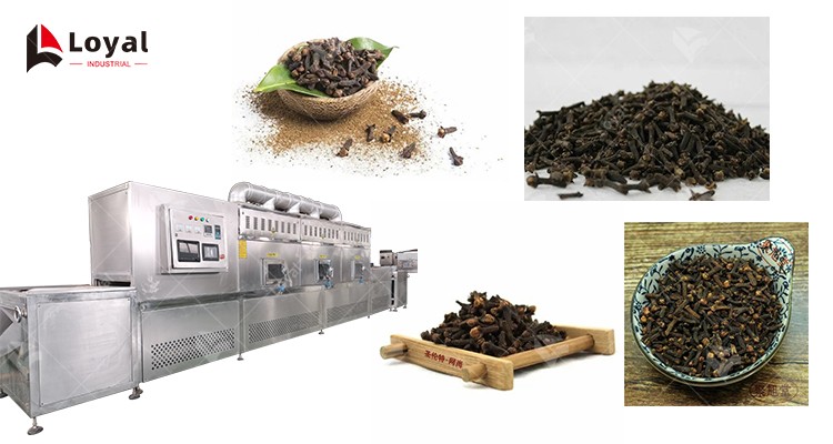 Introduction of Clove Microwave Herb Dryer