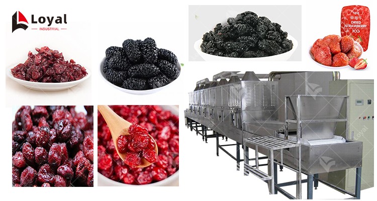 Turnkey Berries Drying Tunnel Microwave Oven