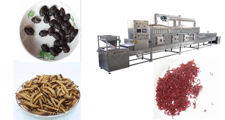 Fish insect food dryer water flea dehydrator machine microwave insect baking equipment