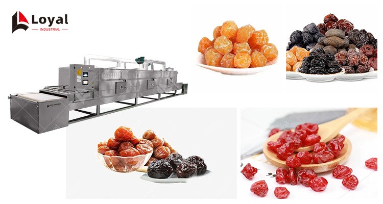 Industry Microwave Preserved Dried Fruit Apricots Sterilization Equipment Machine