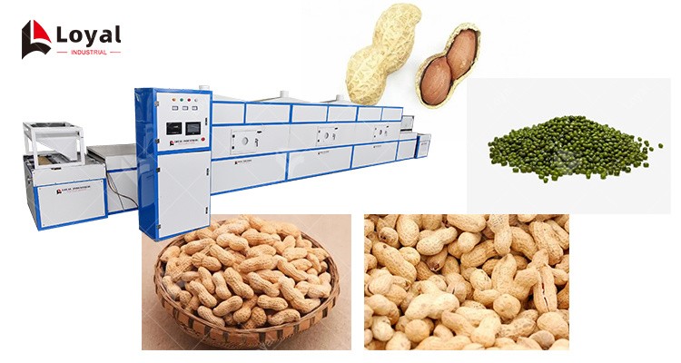 Conveyor Belt Mung Bean Red Beans Peanut Microwave Drying Machine
