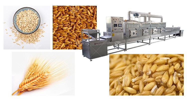 High Yield Microwave Barley Dehydrator Red Beans Drying Machine