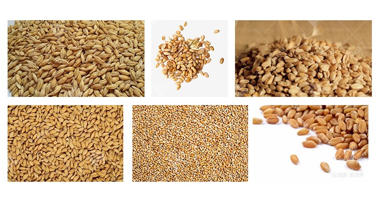 High Yield Microwave Barley Dehydrator Red Beans Drying Machine