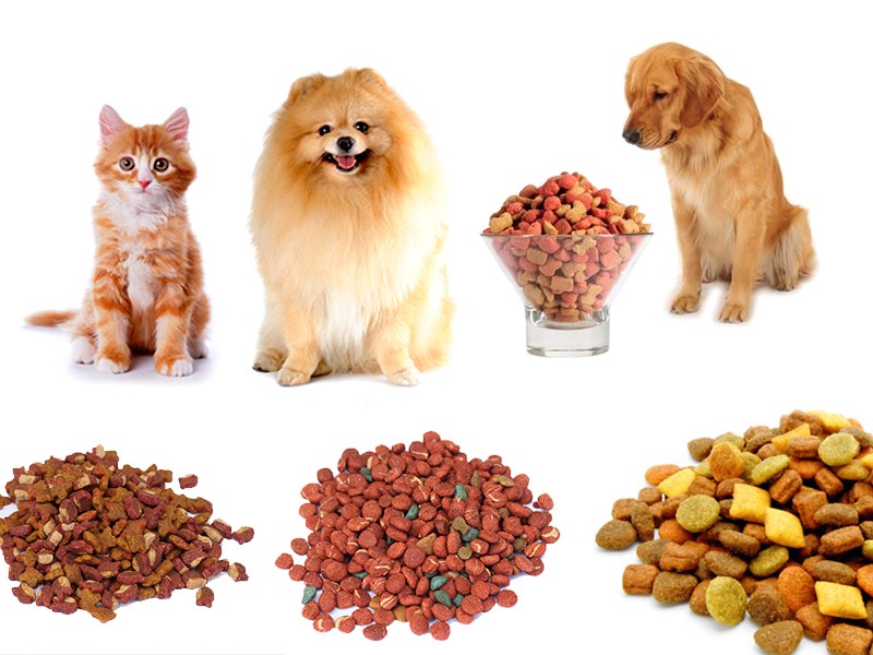 How to Pet Food Extruder Machine?