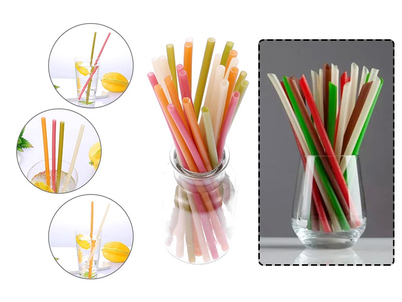 What is Edible Rice Flour Drinking Straw Making Machine？