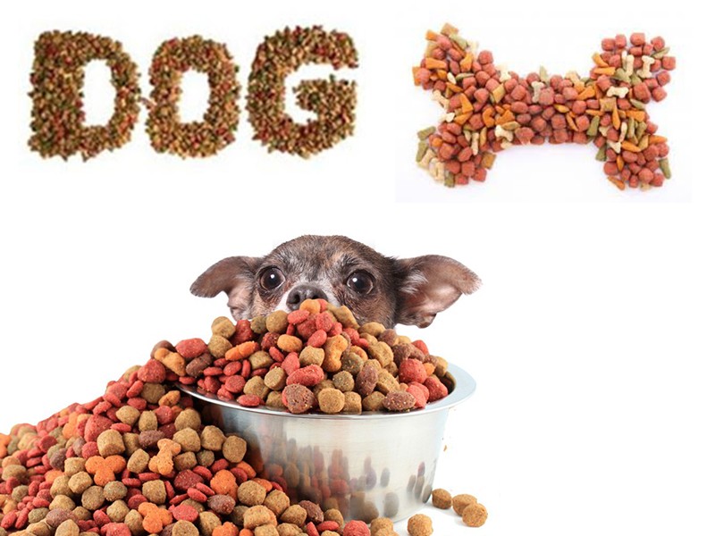 How to Pet Food Production Line?