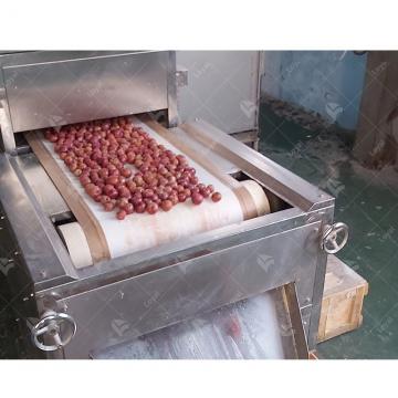 Industrial Microwave Quick Defrost Machine For Frozen Fruit