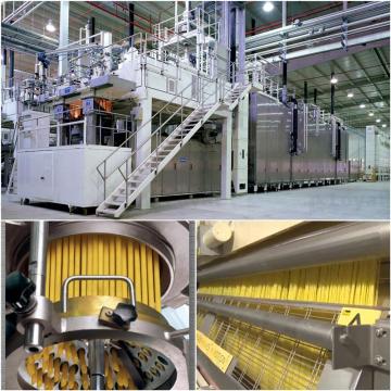 Dry pasta production line