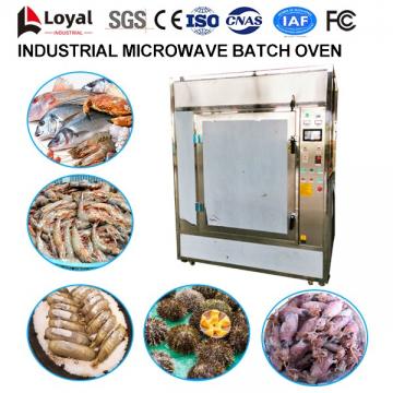 Industrial Microwave Batch Oven