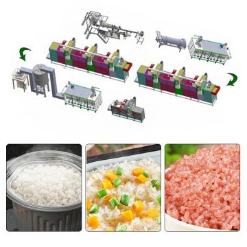 Large Capacity 500kg/h Fortified Rice Kernels (Frk) Extruder Machine