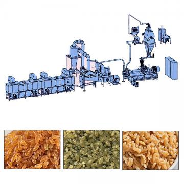 Nutritional Artificial Rice Processing Line
