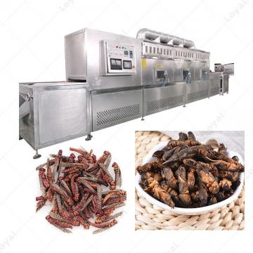 Factory Use Microwave Insect silkworm chrysalis Tunnel Dehydrator Drying Machine Dryer