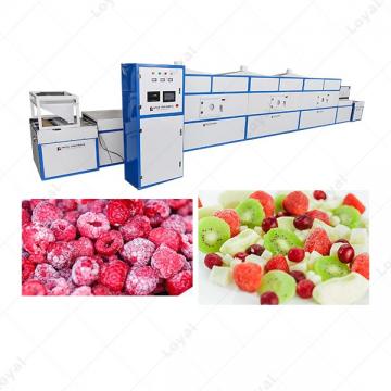Industrial Microwave Quick Defrost Machine For Frozen Fruit