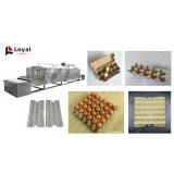 Tunnel Continuous Conveyor Belt Type Egg Tray Drying Microwave Machine
