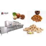 Tunnel Microwave Baking and Sterilizing Equipment Pine Nuts Hazelnuts Pistachios Drying Machine