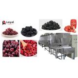 Turnkey Berries Drying Tunnel Microwave Oven